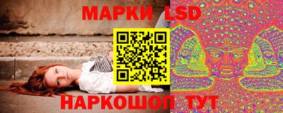 прущие грибы Малгобек