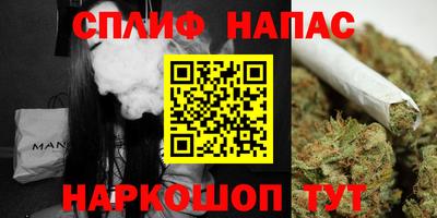 прущие грибы Малгобек