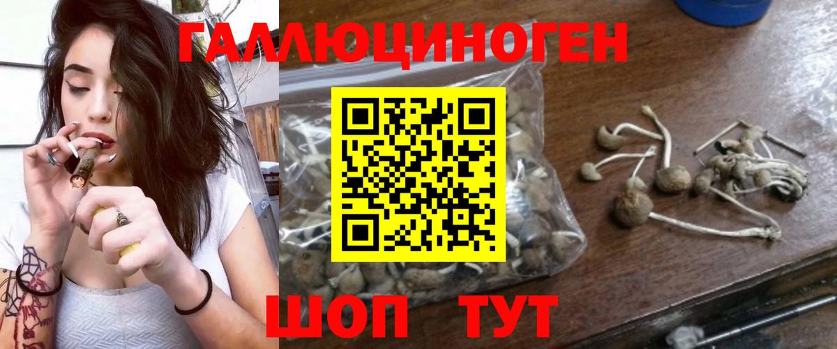 Псилоцибиновые грибы Cubensis  Вход с VPN  Псилоцибиновые грибы мухоморы  Александров 